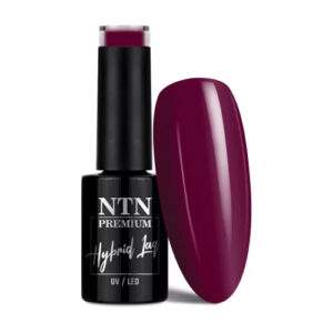 NTN Premium UV/LED 145#