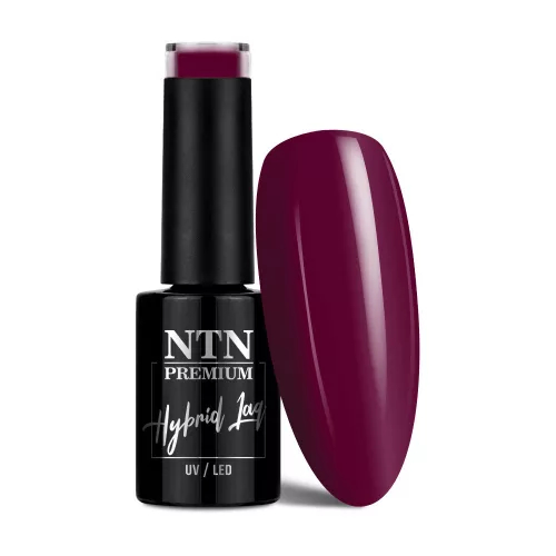 NTN Premium UV/LED 145#