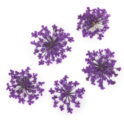 Szárított Virág - Purple 05