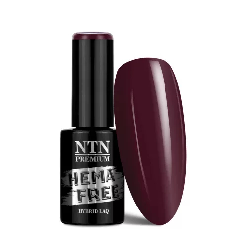 NTN Premium UV/LED 113# (HEMA Free)